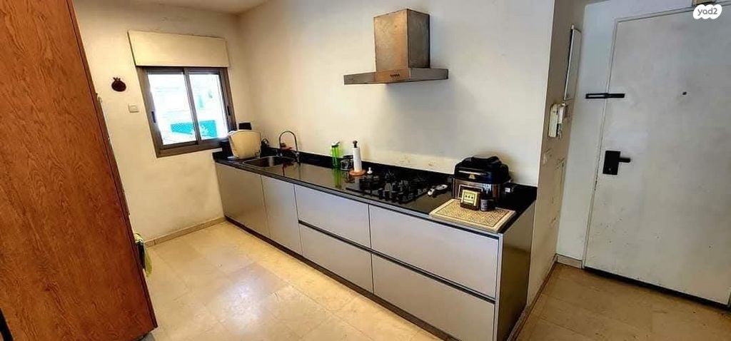 אלכסנדר סשה ארגוב 17