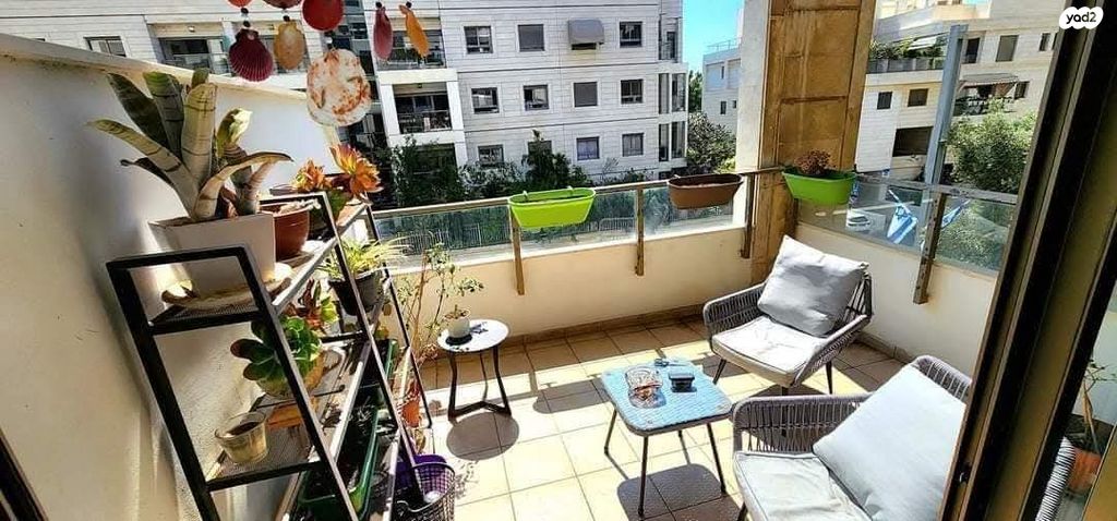 אלכסנדר סשה ארגוב 17