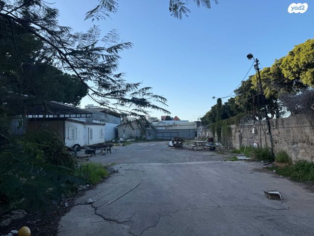 העיר התחתית, ואדי סאליב