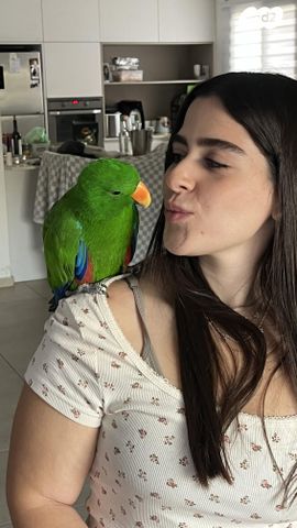 תמונת מודעה - חיות מחמד