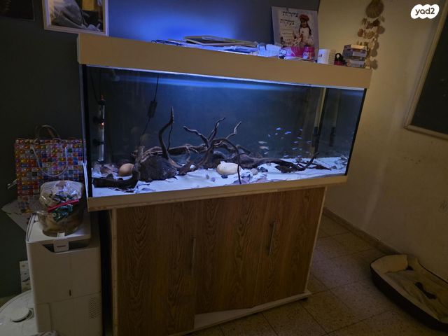 תמונת מודעה - חיות מחמד