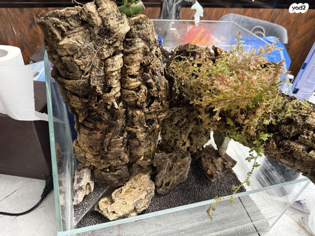 תמונת מודעה - חיות מחמד