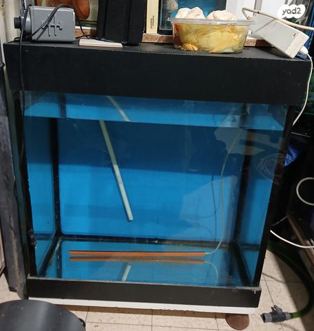 תמונת מודעה - חיות מחמד