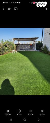 אליהו הנביא 52