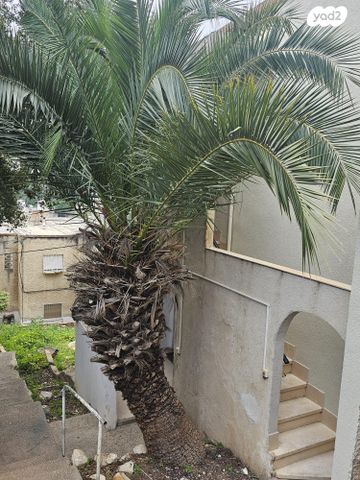 שדרות ודג'ווד 10