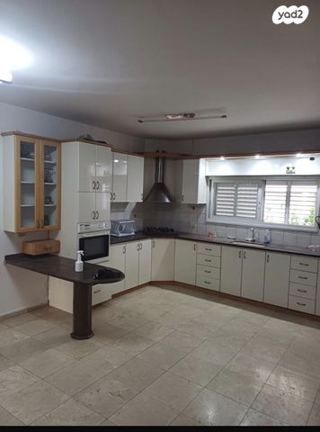 ברדיצ'בסקי 20