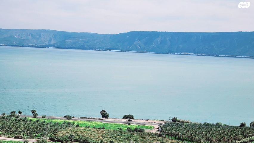 מודעת נכס, שדרות אליעזר קפלן, חוף דרום, טבריה