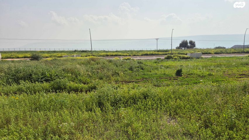 מגרשים, טבריה המושבה, טבריה