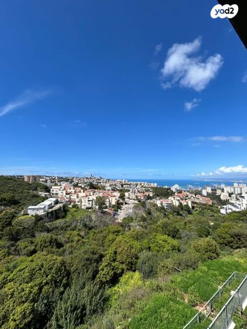 מודעת נכס, גבעת זמר, חיפה