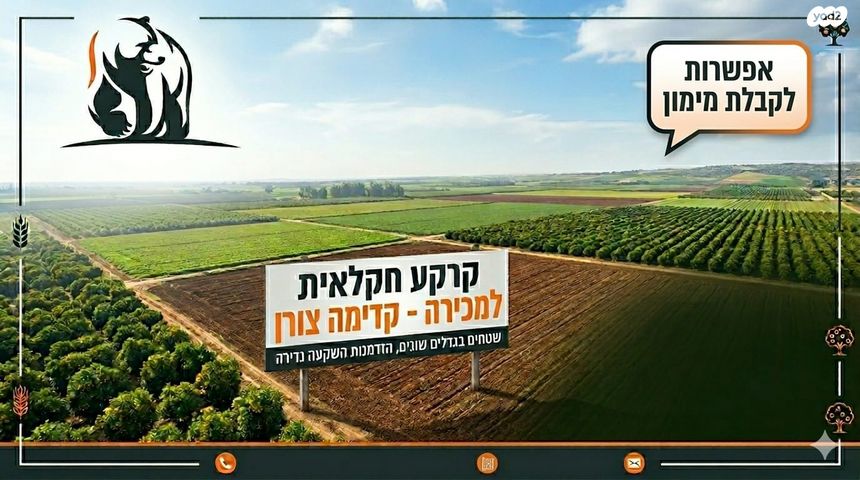 מגרשים, קדימה צורן