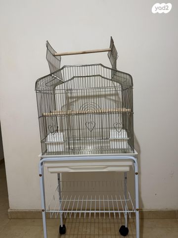 תמונת מודעה - חיות מחמד