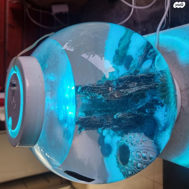 תמונת מודעה - חיות מחמד