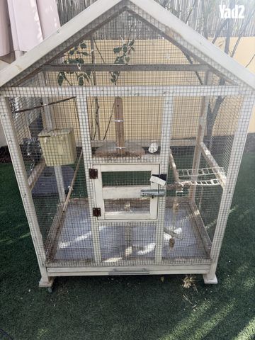 תמונת מודעה - חיות מחמד
