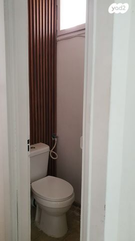 ארבע ארצות 18