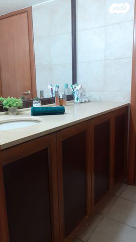 הרב אסף דוד 2