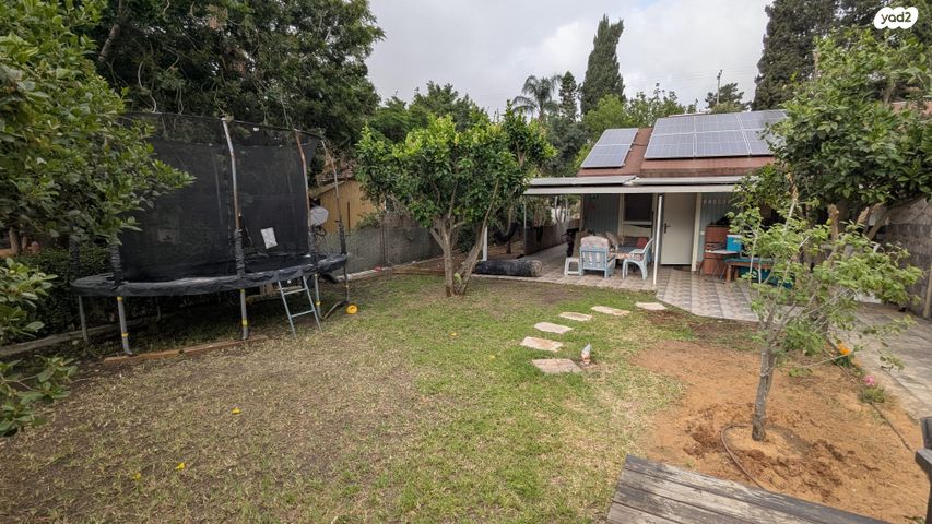 דרך האלון 97