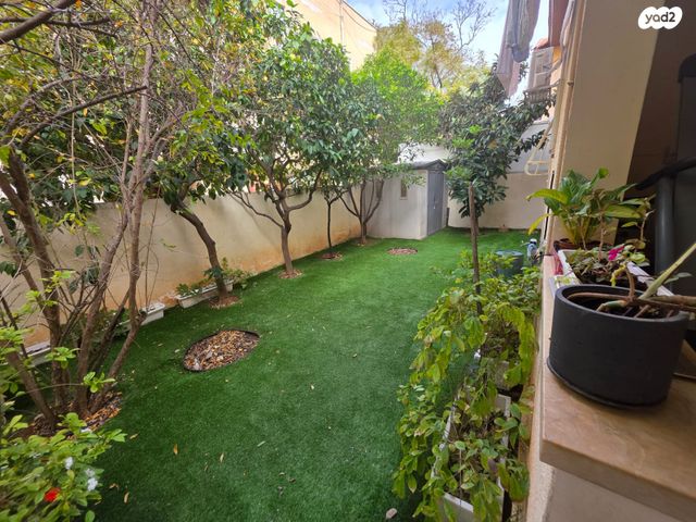 הרצליה הצעירה