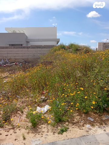 הרב אלישע וישלצקי 