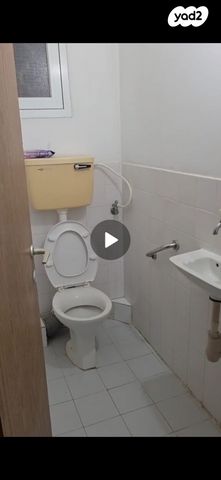 הסוכנות היהודית 