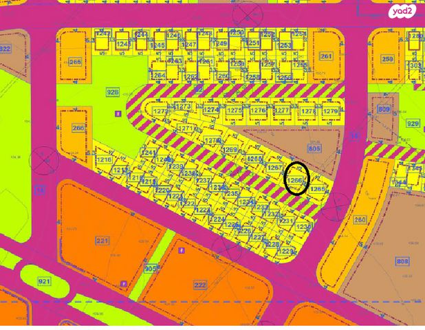 יהדות הולנד 