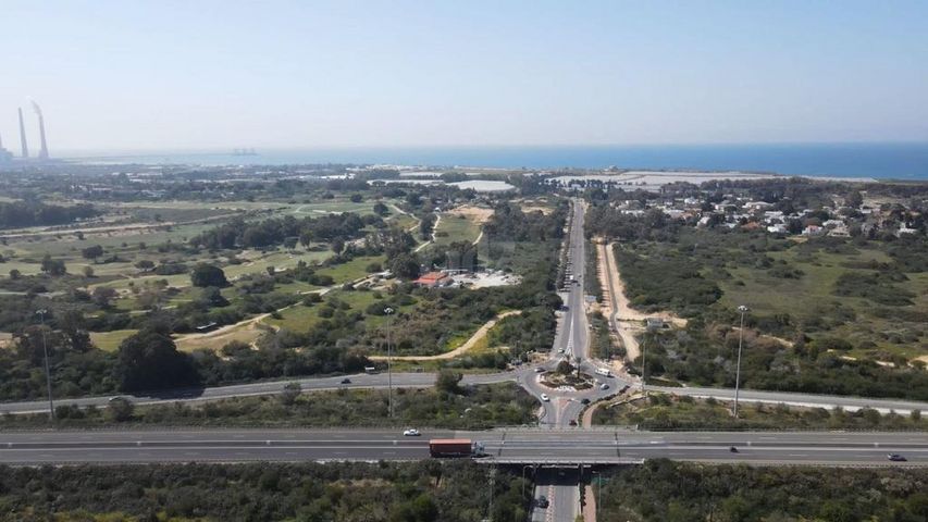 השיקמים 2