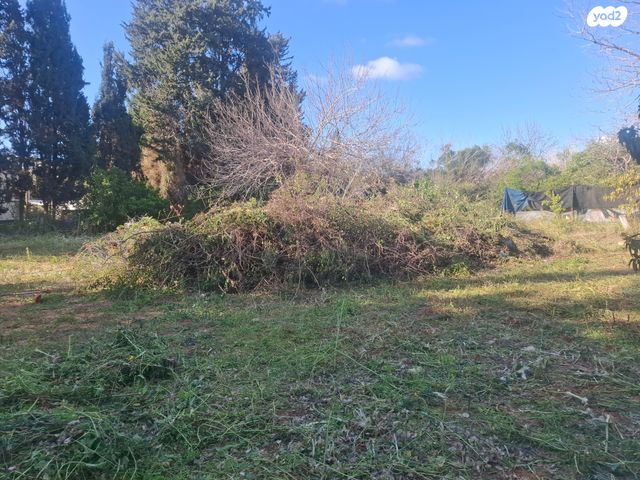 משק חקלאי/ נחלה, משמר השבעה