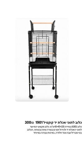 תמונת מודעה - חיות מחמד