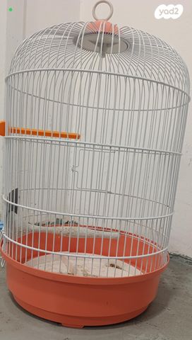 תמונת מודעה - חיות מחמד