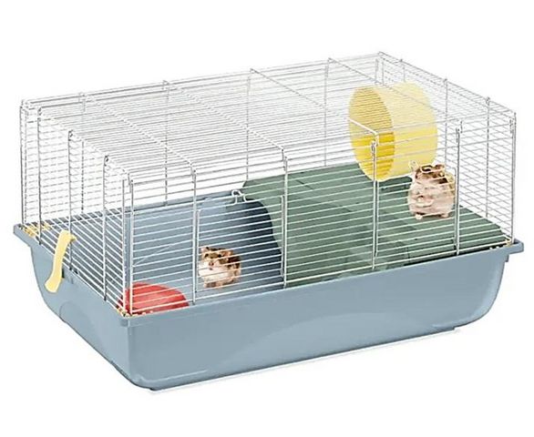 תמונת מודעה - חיות מחמד