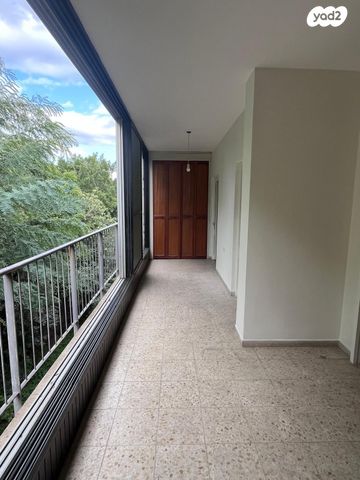 הרב הרצוג 11