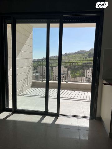 פרופסור יעקב נאמן 1