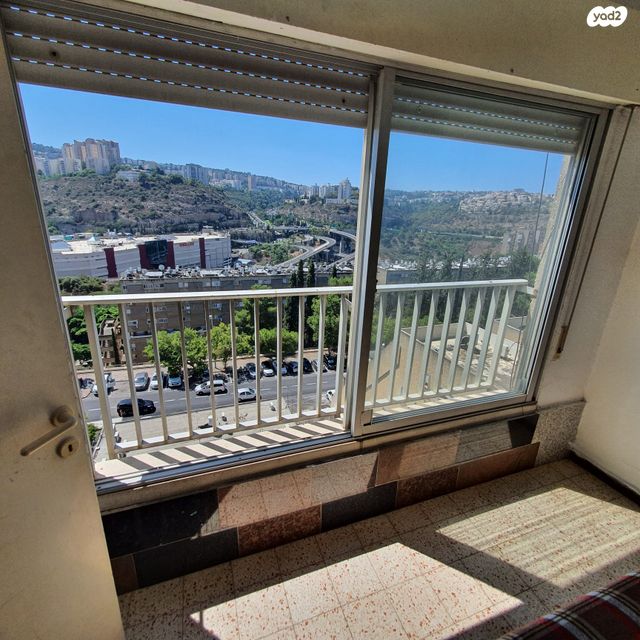 יעקב קליבנוב 29