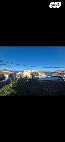 הרב משה כהן 