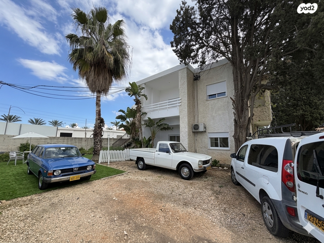 יוסף שפרינצק 