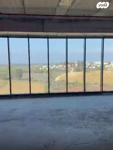 אלי הורוביץ 15