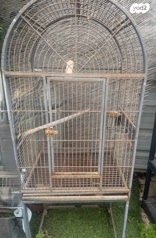 תמונת מודעה - חיות מחמד