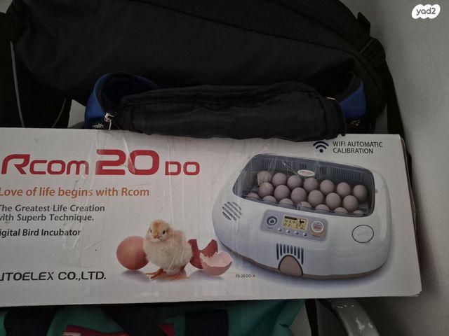 תמונת מודעה - חיות מחמד