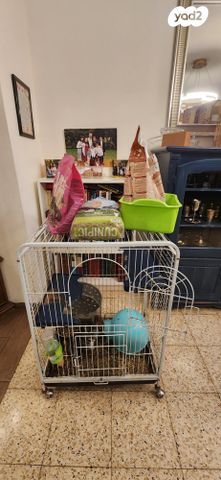 תמונת מודעה - חיות מחמד