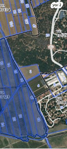 ימי בנימינה 1