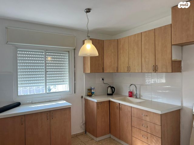 הסוכנות היהודית 