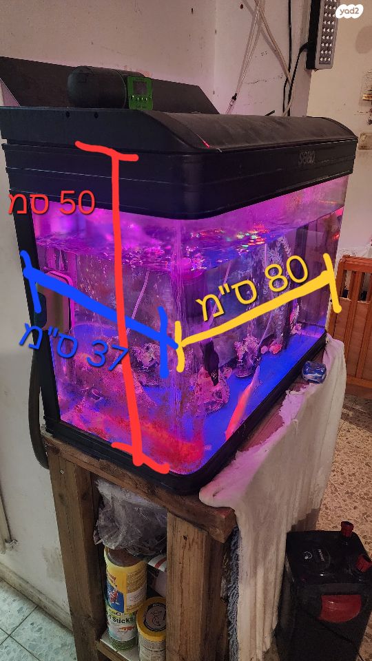 תמונת מודעה - חיות מחמד