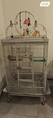 תמונת מודעה - חיות מחמד