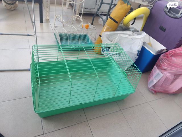 תמונת מודעה - חיות מחמד