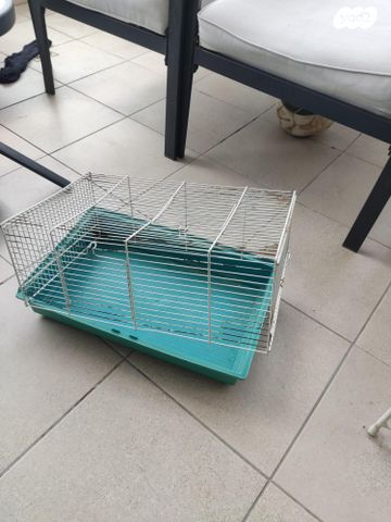 תמונת מודעה - חיות מחמד