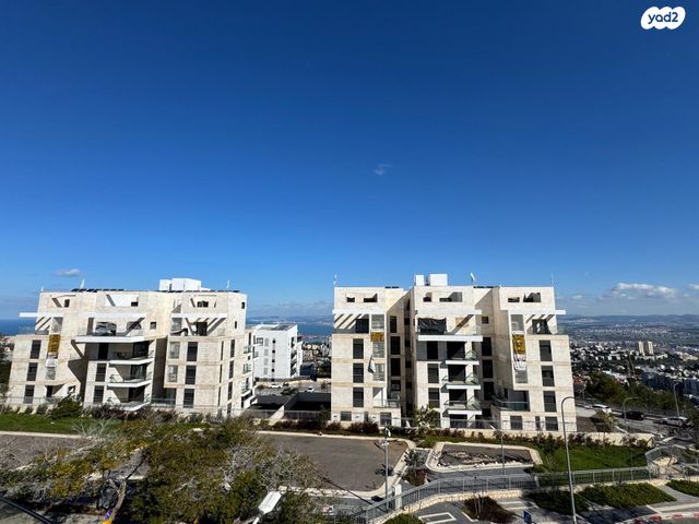 עמירם חרלף 3