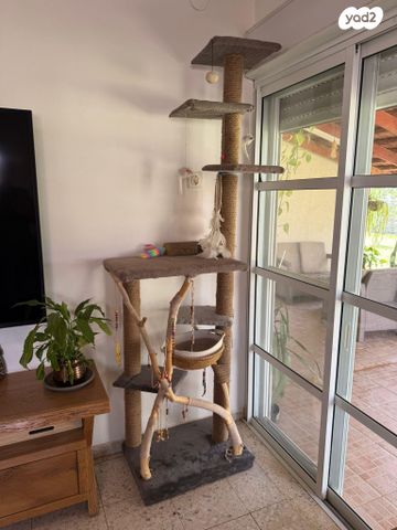 תמונת מודעה - חיות מחמד