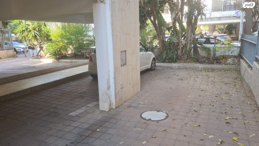 החשמונאים 31