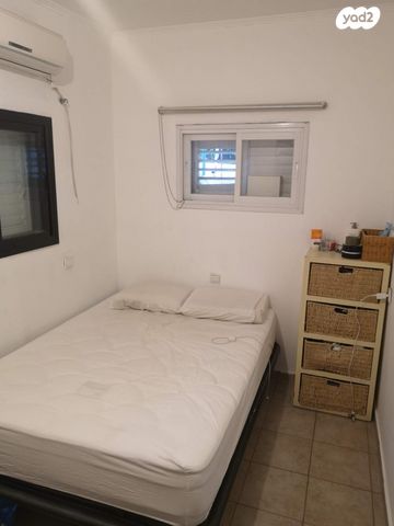 יוסף שפרינצק 38