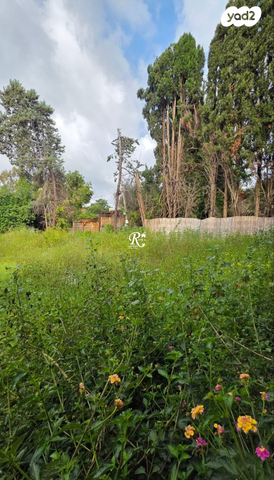 בית פרטי/ קוטג'