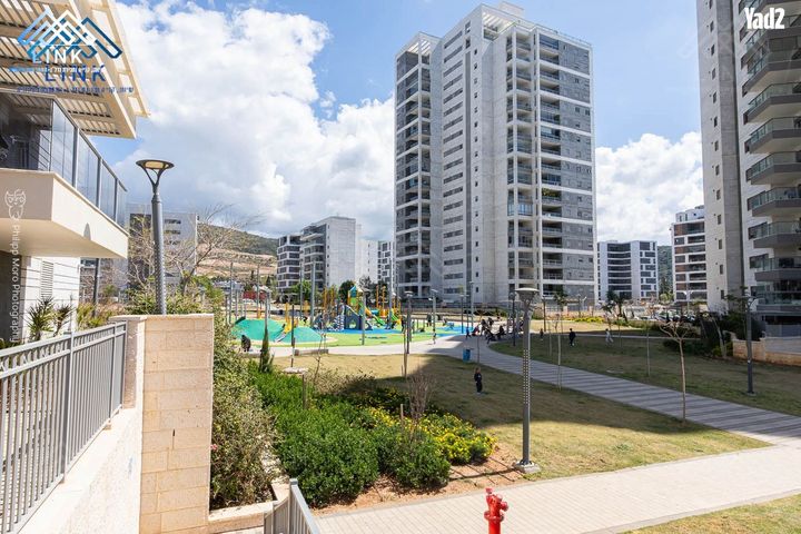 השחף